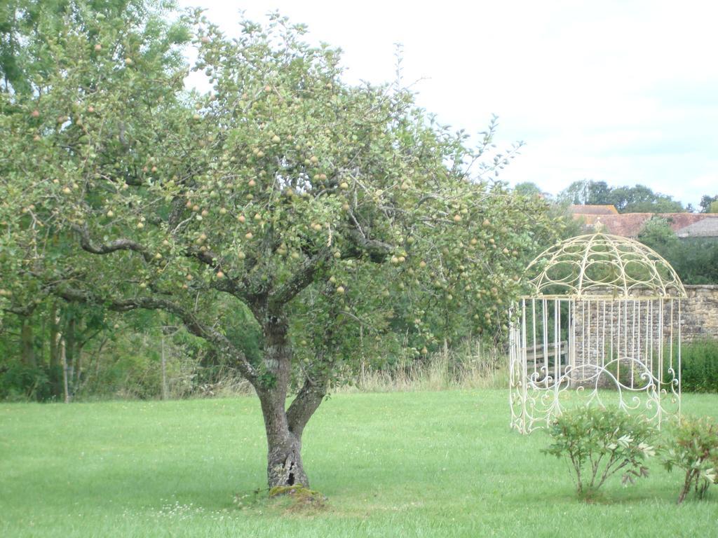 Manoir De La Baronnie Hotel Marcei Buitenkant foto